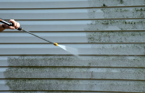 Mold Removal Process in Farmers Loop, AK