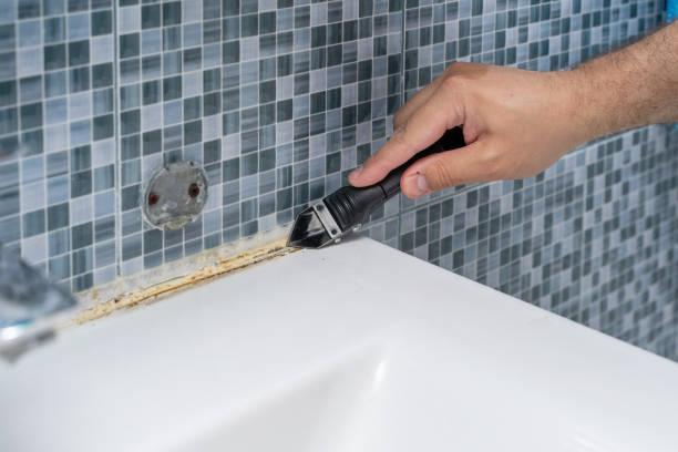 Best Fast Mold Removal  in Farmers Loop, AK