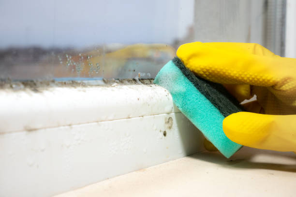Best Toxic Mold Removal  in Farmers Loop, AK