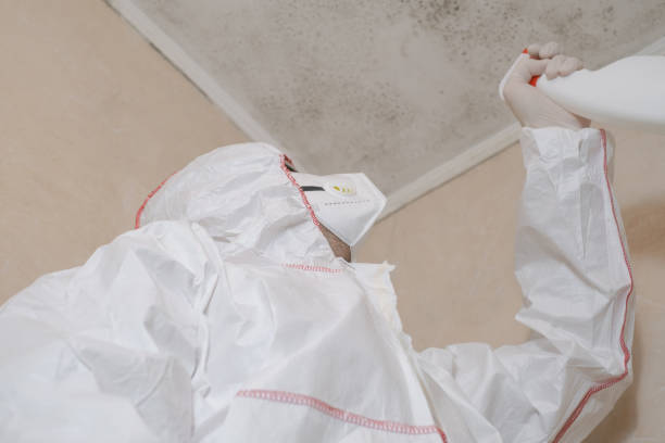 Best Attic Mold Removal  in Farmers Loop, AK
