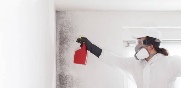 Best Office Mold Removal Services  in Farmers Loop, AK