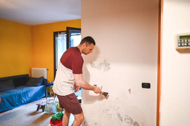 Best Certified Mold Removal  in Farmers Loop, AK