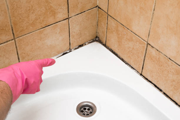 Best Best Mold Removal Companies  in Farmers Loop, AK